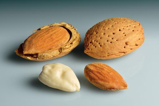 European Almond