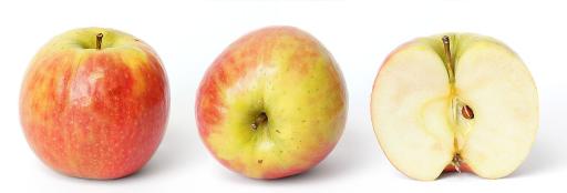 Apple Tree plant image
