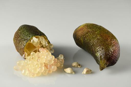 Australian Finger Lime